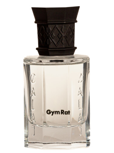 Gym Rat Calaj