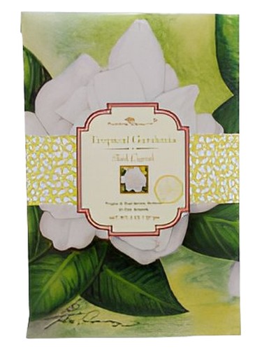 Tropical Gardenia Aloha Beauty