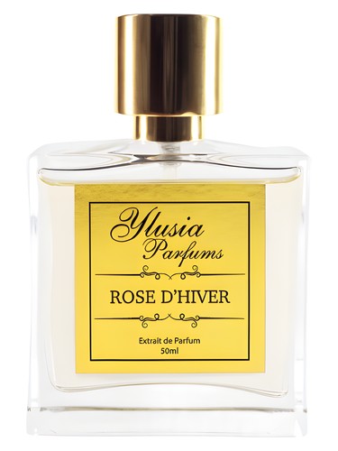 Rose d'Hiver Ylusia Parfums
