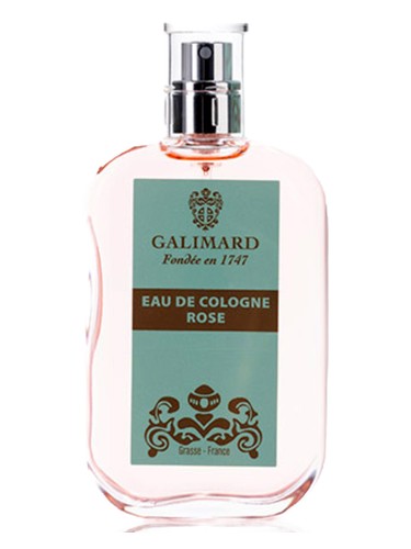 Rose by Galimard