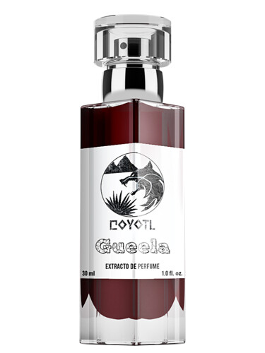 Gueela Coyotl