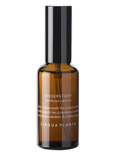 Understory Lingua Planta