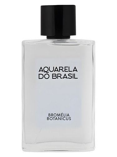 Bromélia Botanicus Aquarela do Brasil