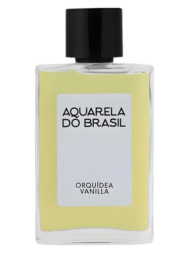 Orquídea Vanilla Aquarela do Brasil