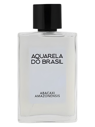 Abacaxi Amazonensis Aquarela do Brasil