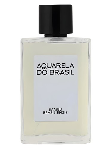 Bambu Brasiliensis Aquarela do Brasil