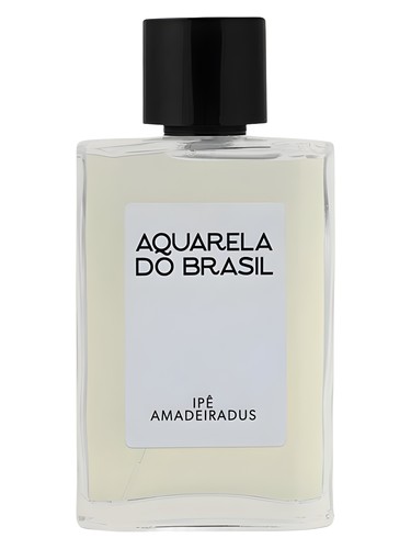 Ipê Amadeiradus Aquarela do Brasil