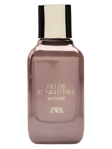 Fields at Nightfall Intense Zara