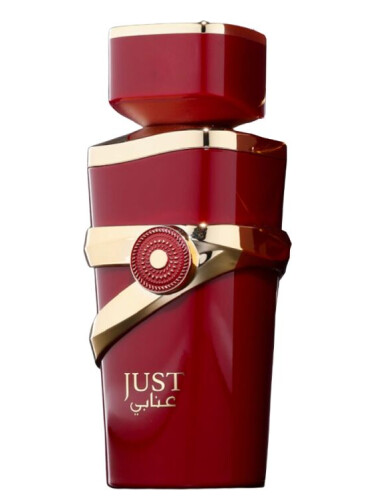 Fragrance World Just Anabi Eau De Parfum Spray By Fragrance World - 3.4 oz Fragrance World Just Anabi Eau De Parfum Spray By Fragrance World - 3.4 oz