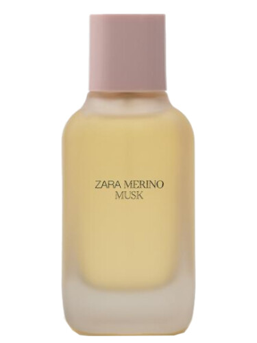 Merino Musk Zara perfume a new fragrance for women 2024