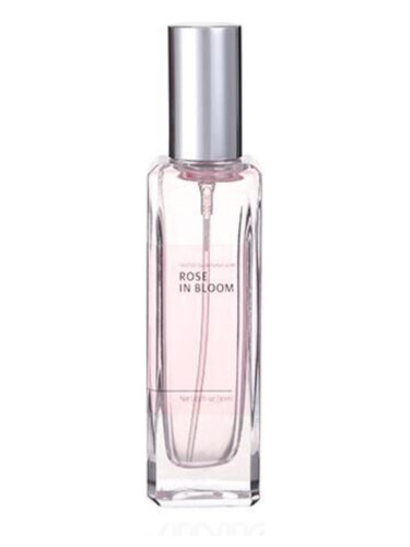Rose in Bloom Miniso