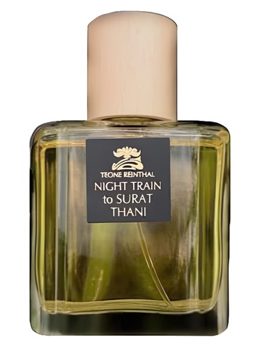 Night Train to Surat Thani Teone Reinthal
