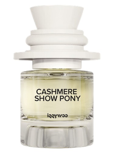 Cashmere Show Pony Iggywoo