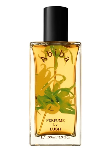 Abiba Lush perfume - a new fragrance for women and men 2024