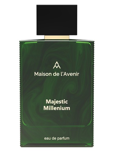 Majestic Millenium Maison de l'Avenir