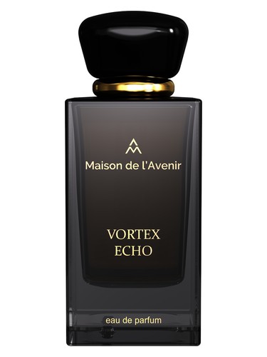Vortex Echo Maison de l'Avenir
