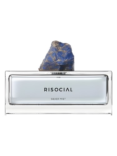 Silver Mist 银雾弧光 Risocial 在野南杂