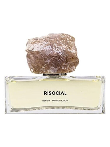 Sunset Bloom 月夕花晨 Risocial 在野南杂
