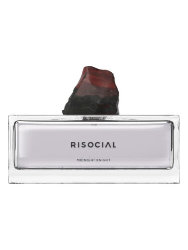Midnight Knight 午夜骑士 Risocial 在野南杂