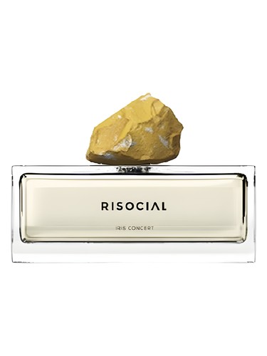 Iris Concert 鸢尾阳光 Risocial 在野南杂