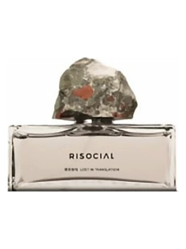 Lost In Translation 禁忌游戏 Risocial 在野南杂
