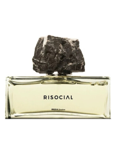Shadow 黑暗森林 Risocial 在野南杂
