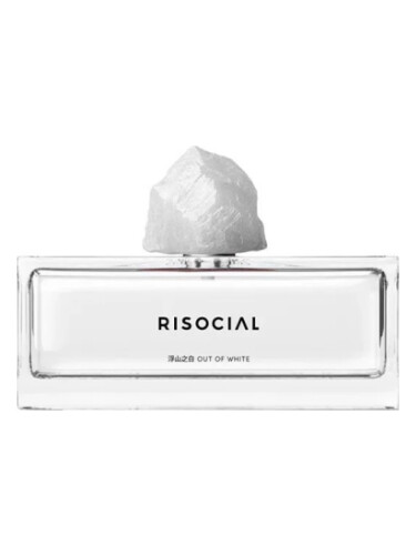 Out of White 浮山之白 Risocial 在野南杂