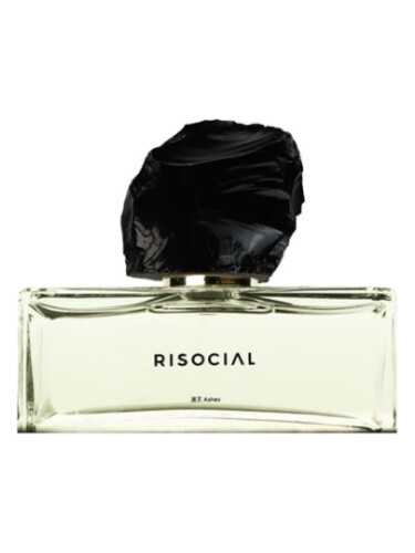 Ashes 泯灭 Risocial 在野南杂