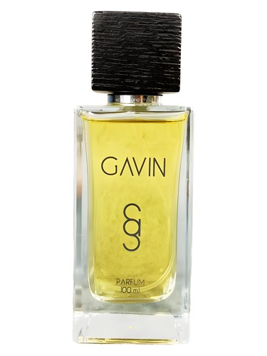 Gavin Scents and Style