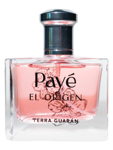 Payè El Origen Terra Guarán