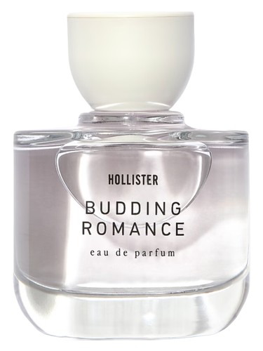 Budding Romance Hollister