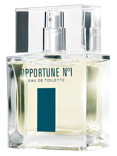 Opportune No1 Amway cologne - a fragrance for men