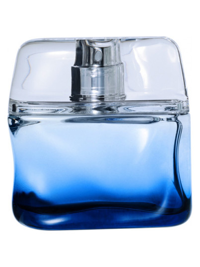Bleu Intense Nicole Farhi para Hombres Bleu Intense Nicole Farhi para Hombres