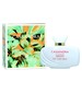perfume Cassandra Blanc