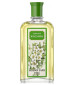 Jasmine perfume ingredient, Jasmine fragrance and essential oils ...