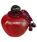 perfume Hypnotic Poison Diable Rouge
