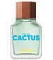 perfume United Dreams Green Cactus For Him