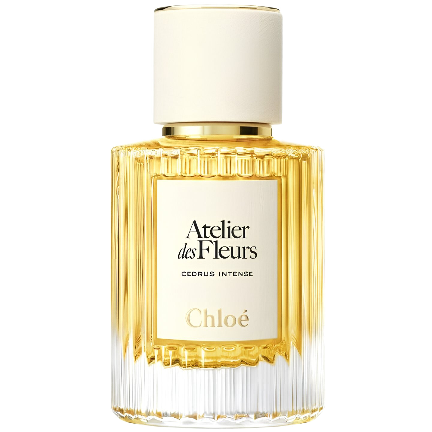 Cedrus Intense Chloé 香水- 一款2025年新的女用香水