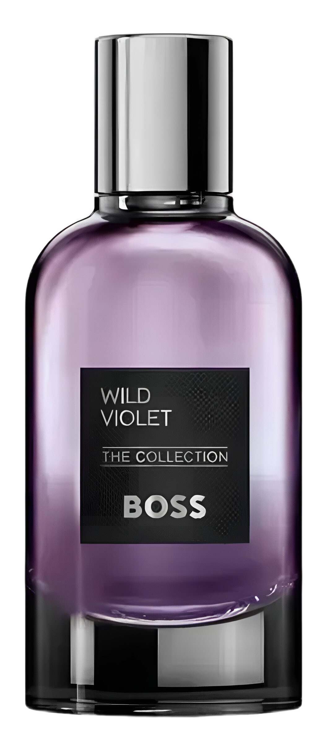 The Collection Wild Violet Hugo Boss perfume - a novo fragrância