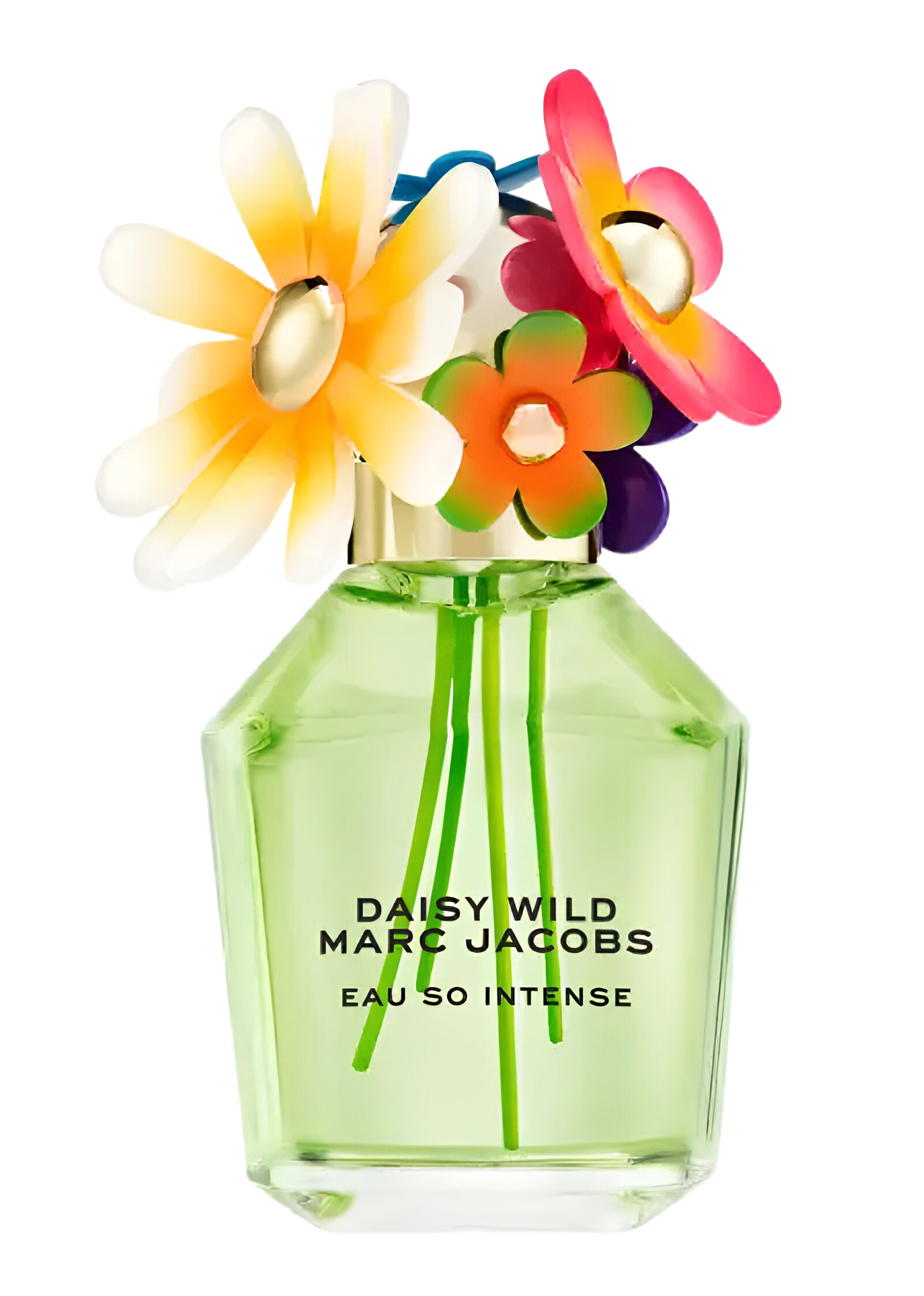 ☆Marc Jacobs☆ Daisy Eau So Intense eau de parfum 香水 50ml o.101528.jpg