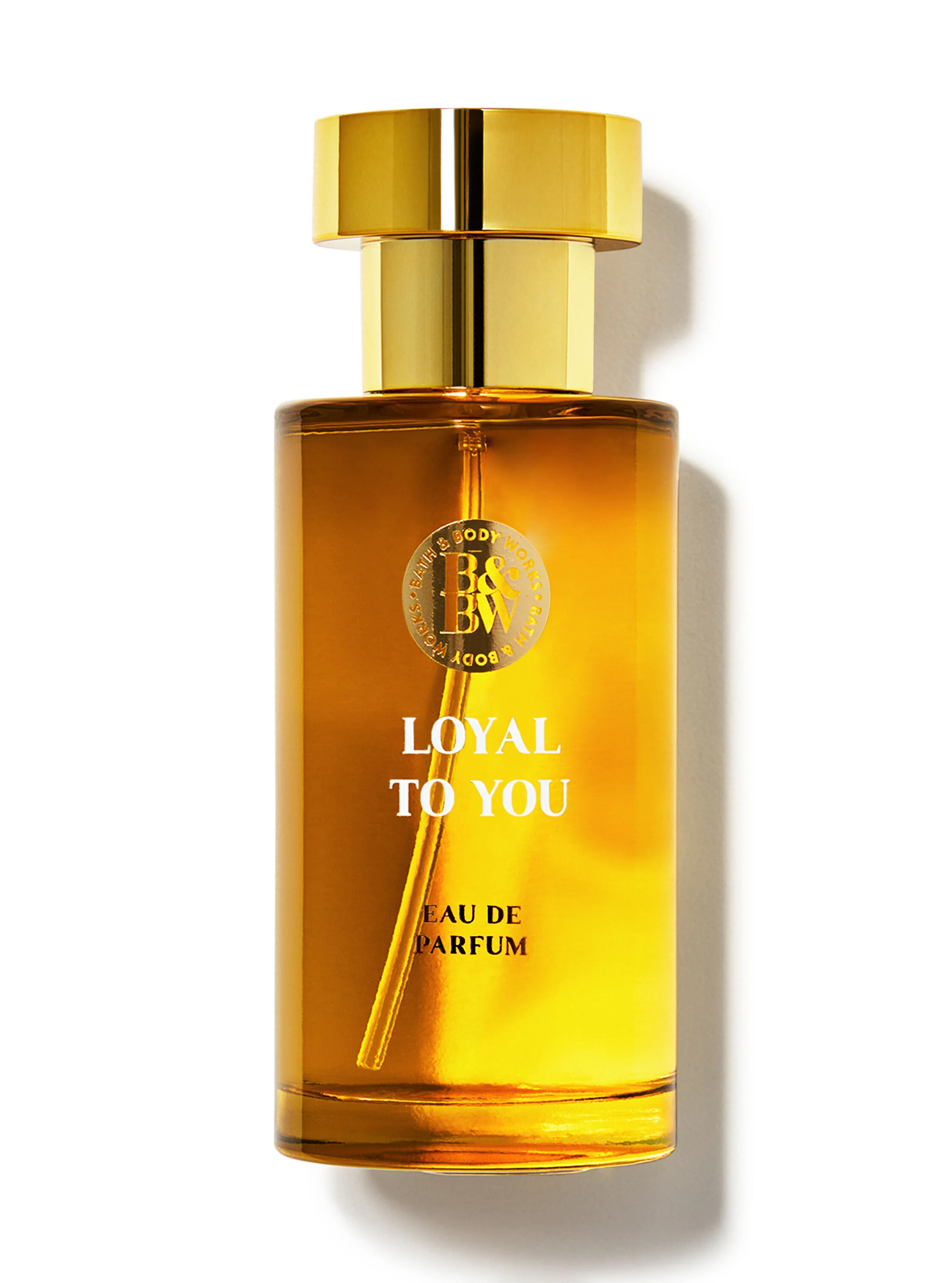 Loyal To You Bath & Body Works perfume a new fragrance