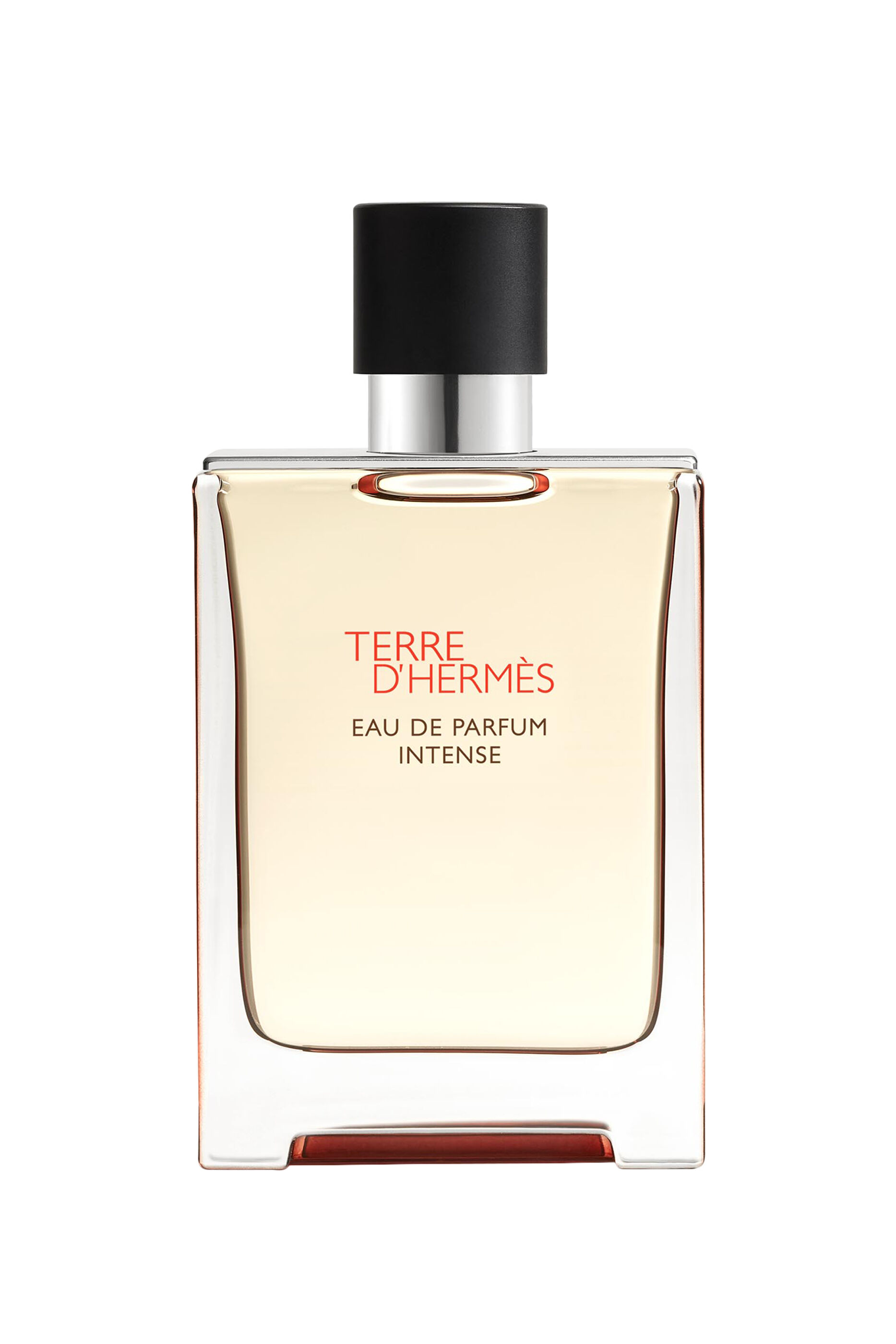 TERRE D'HERMES ユニセックス香水　125ml オンラインショップ HERMÈS エルメス TERRE D´HERMÈS 香水 125ml