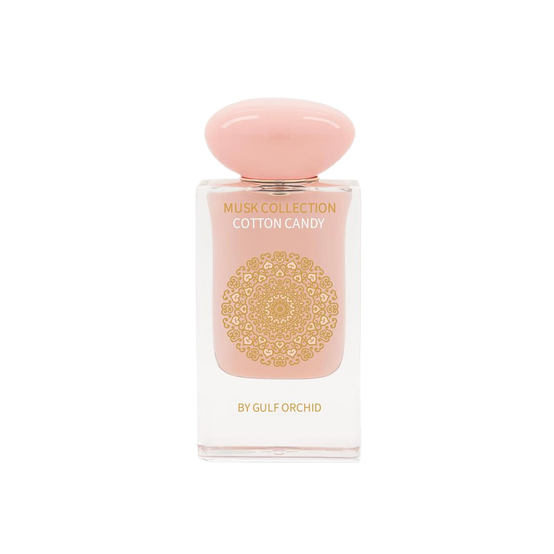 プルメリア　Golb Coast Cotton Candy Gold Coast Cotton Candy Plumeria