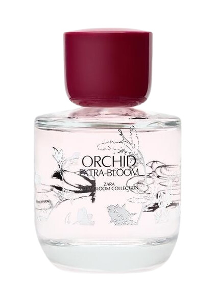 Perfume Dupe Parfum Zara Lightly Bloom LIGHTLY BLOOM 100 ML Oz - Main Image