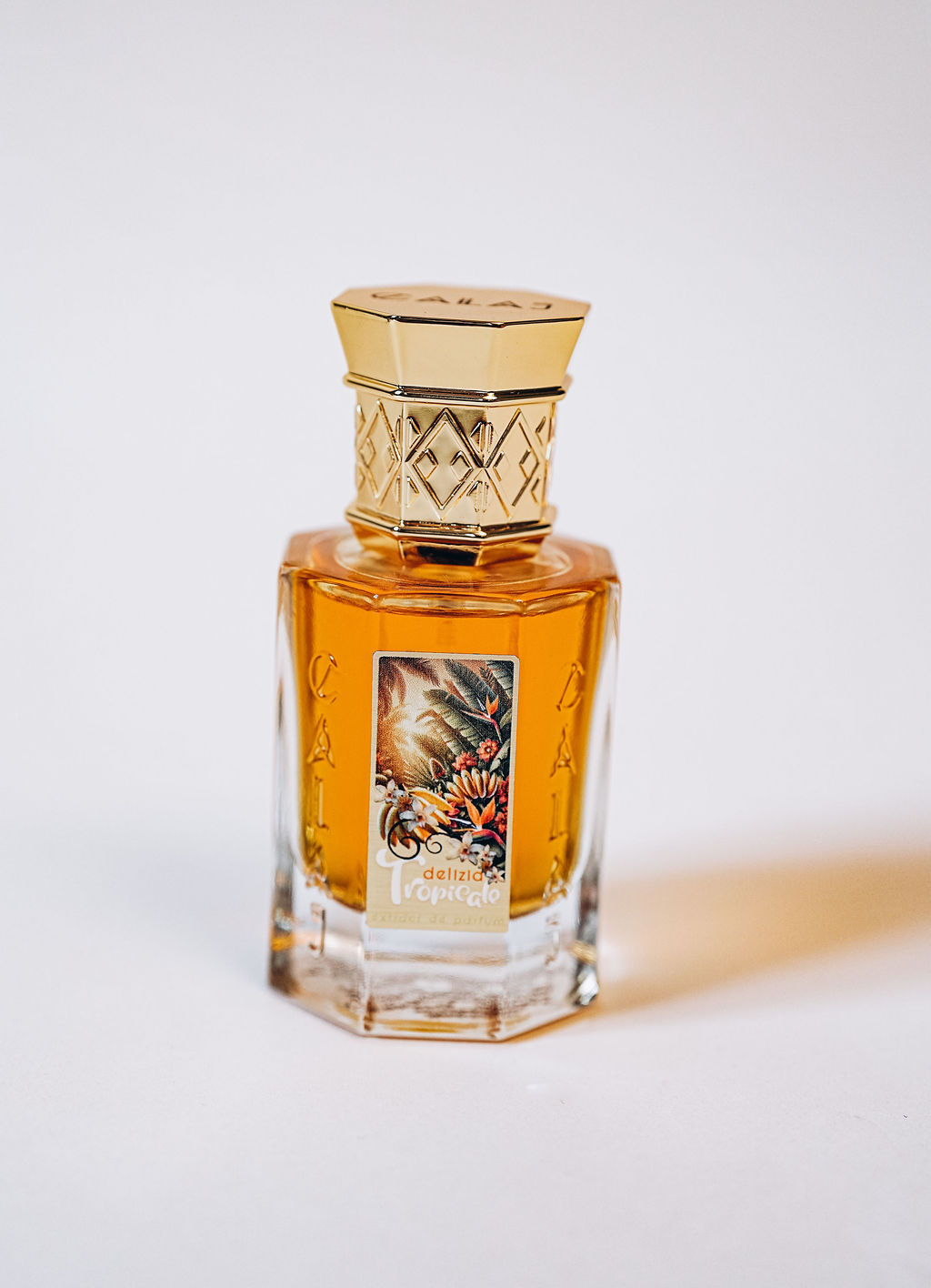 メゾンランコム TUBEREUSES CASTANE香水 メゾンランコム TUBEREUSES