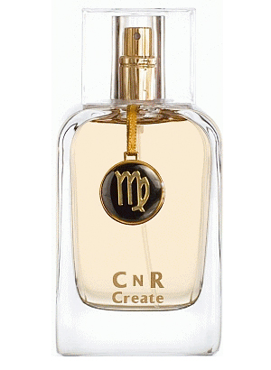 Virgo CNR Create by CNR Create