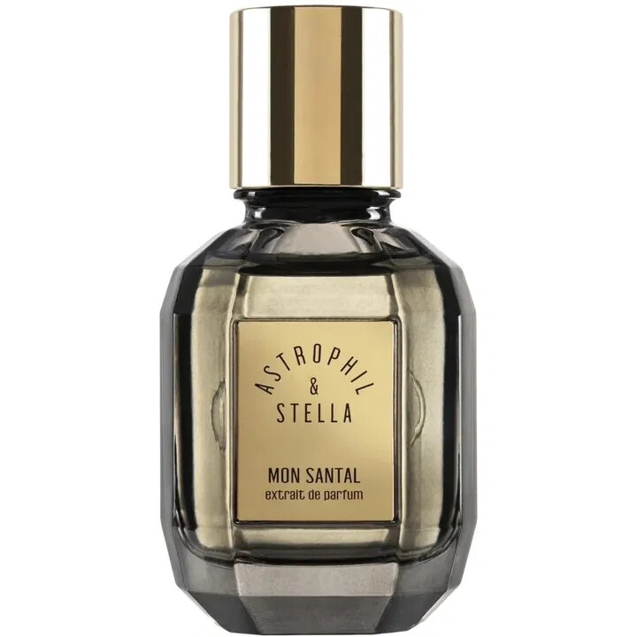 Into the Oud◇ASTROPHIL&STELLA 50ml Into the Oud by Astrophil & Stella