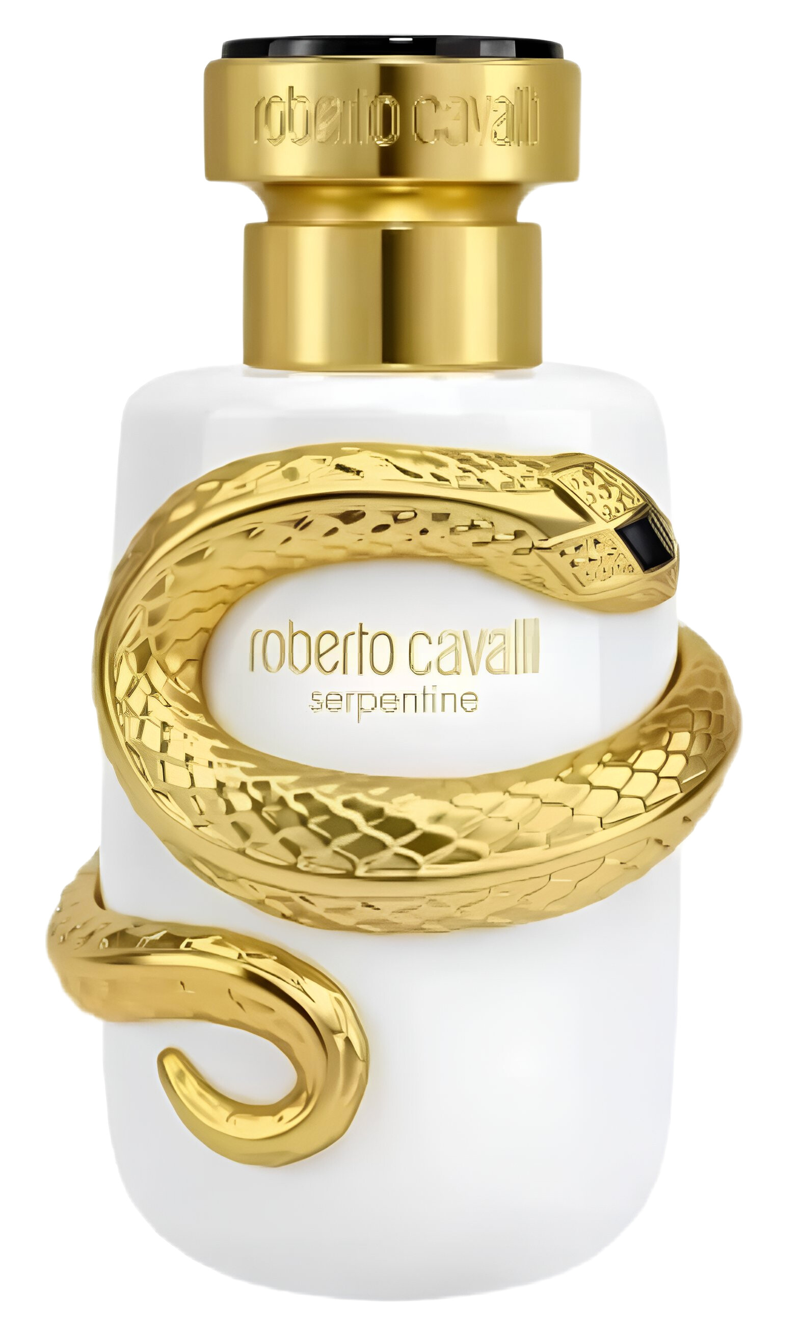 Serpentine 2025 Roberto Cavalli 香水- 一款2025年新的女用香水