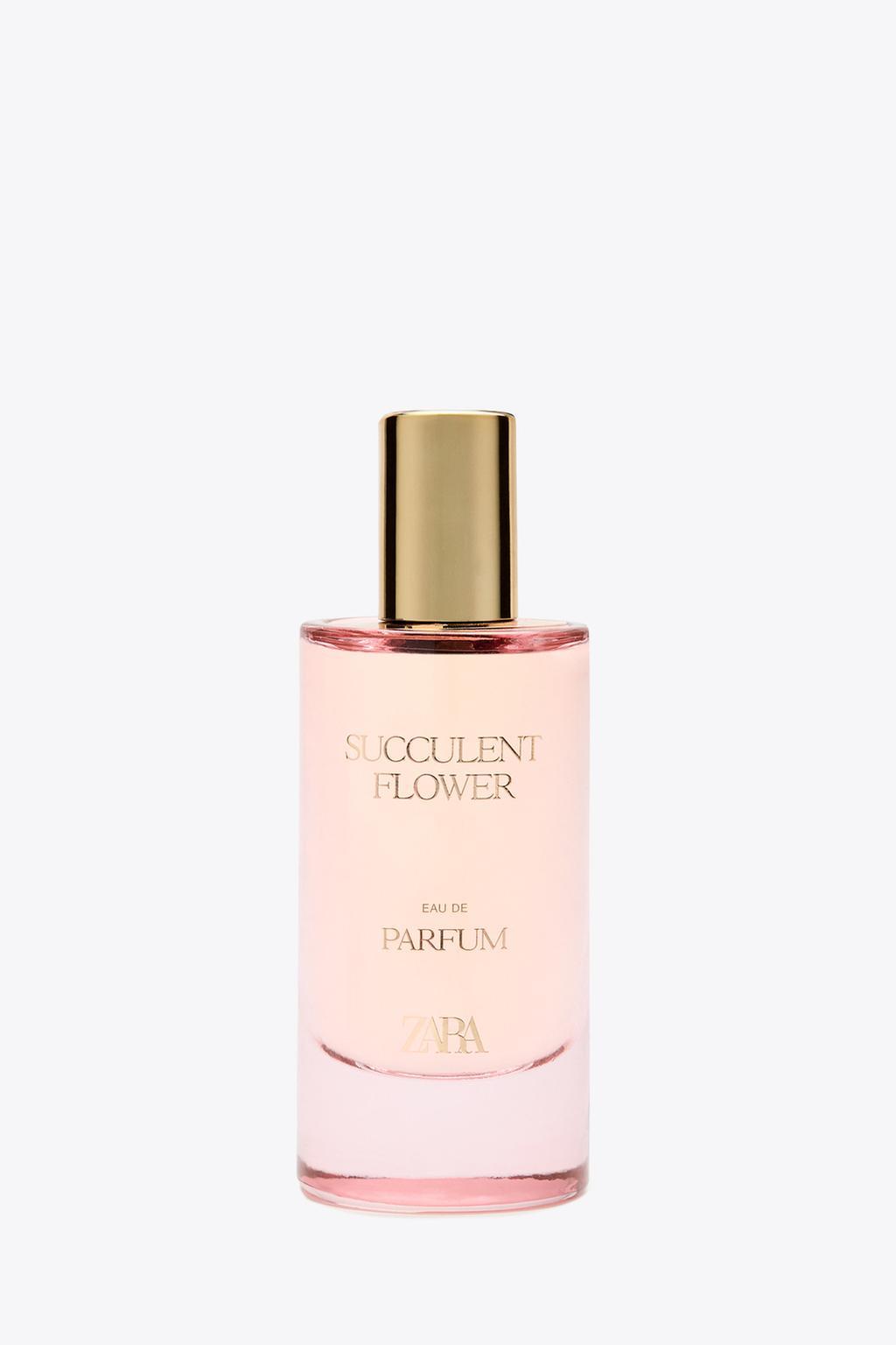 Succulent Flower Zara perfume a new fragrance for women 2025