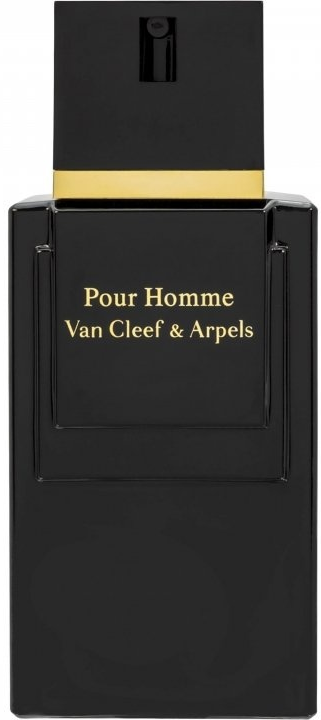 香水(男性用) d301/Van Cleef & Arpels pour homme 100ml Van Cleef & Arpels Pour Homme 100ml EDT UNIKAT